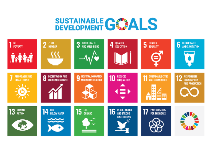 An introduction to the Sustainable Development Goals
